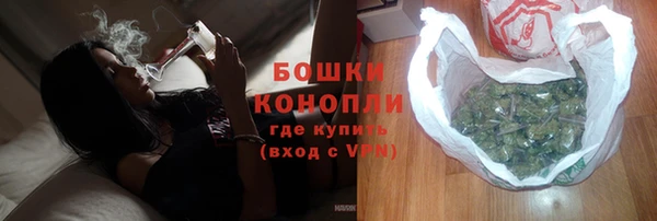ПСИЛОЦИБИНОВЫЕ ГРИБЫ Алзамай