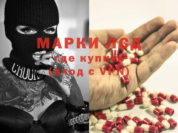 мяу мяу мука Абаза