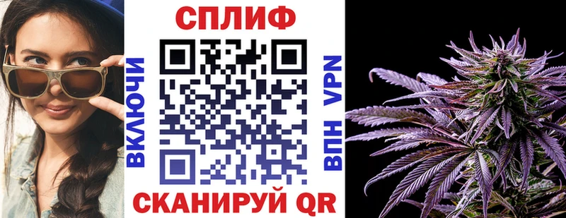 blacksprut ссылка  Ясный  Каннабис семена 